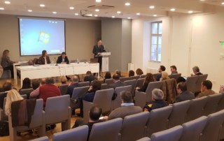 Glas Istre – Radovi na domu Domenico Pergolis gotovi do 15. ožujka